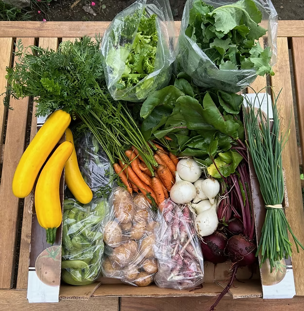 Partner Spotlight: Peregrine Meadow Farm